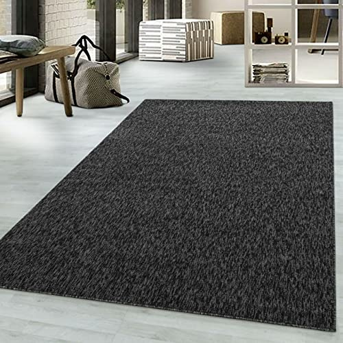 viceroy bedding NIZZA Modern Rugs Living Room Carpet Mat For Bedroom Large Area Rug Hallway Kitchen Extra Large Size Short Pile Flat Weave (240cm x 340cm (7.9ft x 11.2ft), Black)