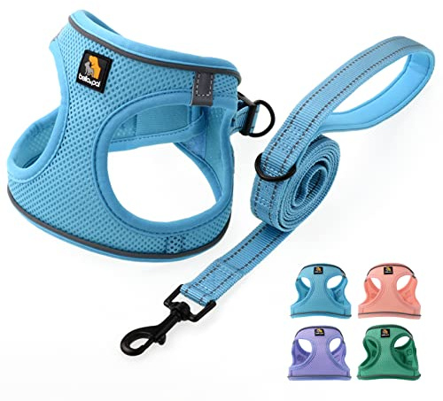 BELLA & PAL Hundegeschirr Kleine Hunde mit Leine, Step-in Geschirr aus Air Mesh, Anti Zug Reflektierend Atmungsaktiv Brustgeschirr, Welpengeschirr für Kleine Hunde, Katzengeschirr, Blau, L