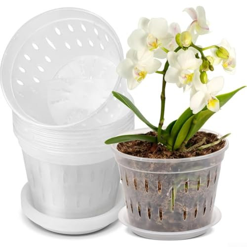 6 x transparente Orchideentöpfe mit Löchern, zum Anbau und Umtopfen von kleinen bis mittelgroßen Orchideen in einer praktischen Verpackung (110)
