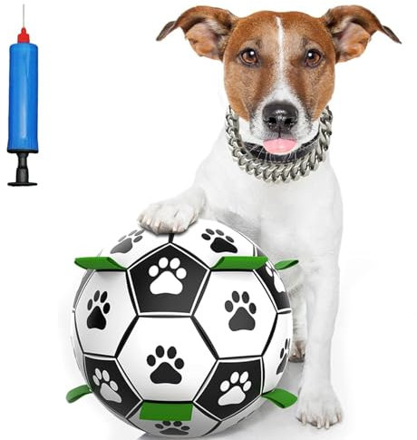 AHEJIOO Hundespielzeug Ball, Spielball Hund 15CM, Interaktiver Schwimmender Ball mit Ballpumpe, Indoor & Outdoor Hundeball für Kleine und Mittelgroße Hunde