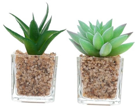 IMIKEYA 2st Künstliche Blumentopfdekoration Pflanzen Drinnen Im Freien Für Anlage Stand Produkte Sukkulenten Heim Fälschung Gefälscht Simulierter Topfbonsai Hausbedarf Glas