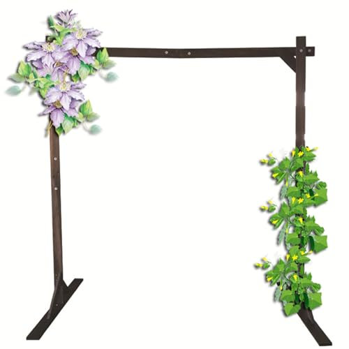 Arche de Jardin Carrée, pour Diverses Plantes Grimpantes, Roses et Vignes, pour Une Fête, Support de Toile de Fond en Bois, Arche de Cérémonie