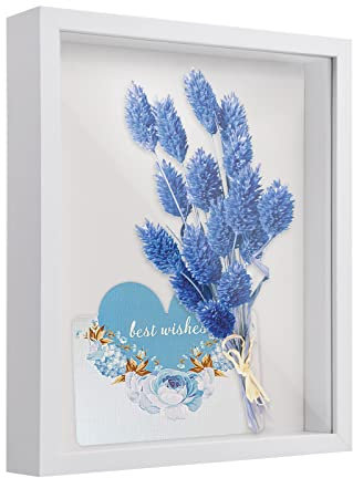 Marcos con Profundidad, Marco de Fotos 3D,27x22cm,Marco de Madera Profundo para Rellenar,Marco para Flores Secas,para Colgar en la Pared o Escritorio para Fotos, Flores, Recuerdos