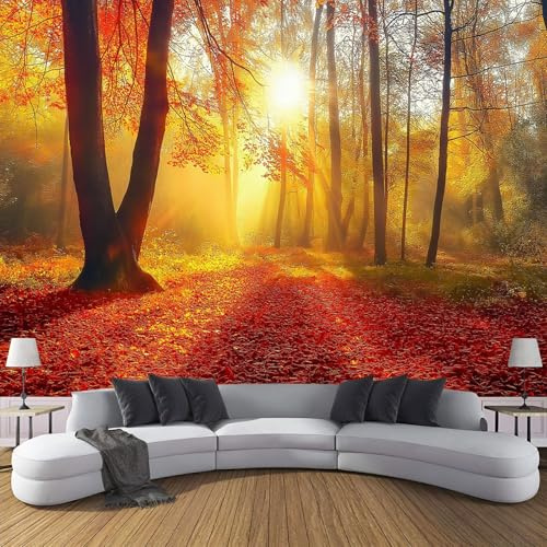Fototapete, Laubwald 250X180Cm (B X H), Foto Tapete Schlafzimmer Wohnzimmer Moderne Wandtapete Motivtapeten Bildtapete 3D Effekt Wand Dekoration, Sonnenuntergangslandschaft