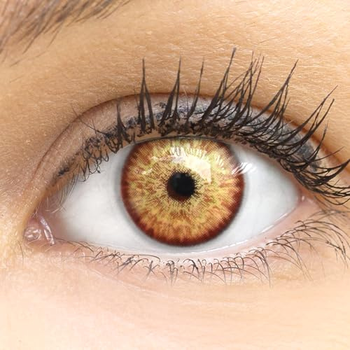Kontaktlinsen farbig 'Ibiza Brown' ohne Stärke farbige braune Monatslinsen weiche Linsen soft Hydrogel 2 Stück Farblinsen + Linsenbehälter 0.0 Dioptrien natürliche Farben Serie