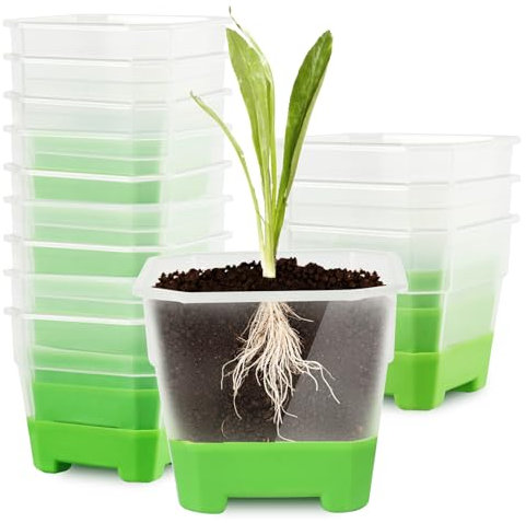 Recitem Kräutertopf Küche Fensterbank selbstbewässernd Set,Kräutertopf Plastik und Sämlingstöpfe sind wiederverwendbar,Für Küche, Balkon, Schlafzimmer,Balkon Schreibtisch (10 Grün)