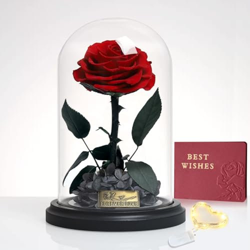 Rosa eterna in vetro con LED, vera rosa infinita in una cupola di vetro con una confezione regalo, regalo per donne, mamma, nonna, fidanzata, festa della mamma, San Valentino, Natale