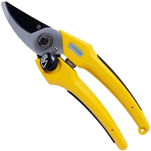 Flowerbox Oasis® - Tijeras profesionales para floristería (1 unidad)