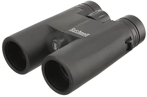 Prismatico Bushnell Powerview 2.0 12x42