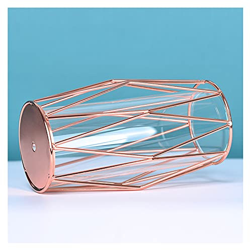 Glass Vase for Flowers with Geometric Rose Gold Metal Stand, Modern Elegant Style Cylinder Clear Vase for Flowers and Plants, Home Decor, Office, Living Room, Shelf, Wedding Decoration
