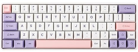 EPOMAKER EP64 60% RGB Tastiera da Gioco Meccanica Sostituibile a Caldo con Software Programmabile, Tri-mode (2.4GHz/BT 5.0/USB-C cablato), PBT Keycaps per Mac/Win (Mulan Switch, Bauhinia)
