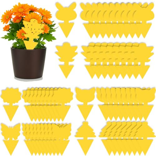 UUNEYX Lot de 60 pièges à mouches à fruits, tue-moucherons double face, jaunes collants pour plusieurs insectes, plantes d'intérieur