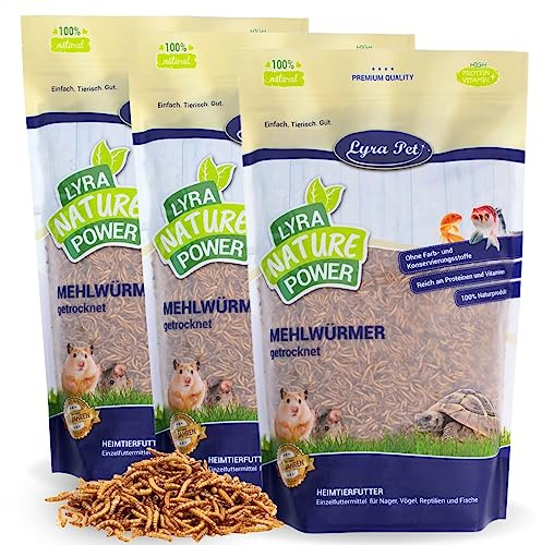Lyra Pet® 3 x 1 kg vers de Farine séchés, Aliment de qualité Premium