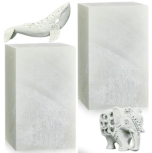 Sasylvia 2 Pcs 5 x 3 x 3 Inch, Soapstone Sculpture Stone Carving DIY Arts Crafts, Soapstone for Carving Block, Stone Seal Engraving Kit, Stone Carving Set for Kids and Adults