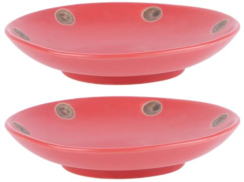 OSALADI Blumentopfuntersetzer aus Keramik 2 Stück Runde Pflanzschalen für Balkon und Garten Geeignet für Sukkulenten und Pflanzen Zufälliger Stil