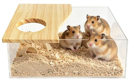 Bain de Sable pour Hamsters Salle de Bain Transparente en Bois et Acrylique | Bac de Toilettage pour Cage de Hamster pour Gerbille de Toilette Exploration Cachette et Sommeil
