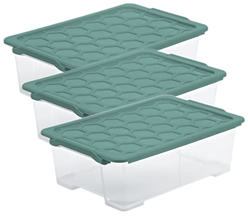 Rotho Evo Safe Aufbewahrungsbox mit Deckel 3er-Set 30 L transparent/grün | Aufbewahrungsboxen zur Boxen Aufbewahrung, stapelbar, transparent mit grünen Deckeln, lebensmittelecht, pflegeleicht