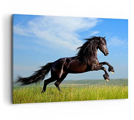 ARTTOR Leinwandbild 100x70cm Wandbild Natur Tiere - 0495 | Schwarzes Pferd Galopp Groß Wanddekoration Wohnzimmer Schlafzimmer Küche Wanddeko Wand Kunstdruck Wandkunst Wall Decor ARTTOR