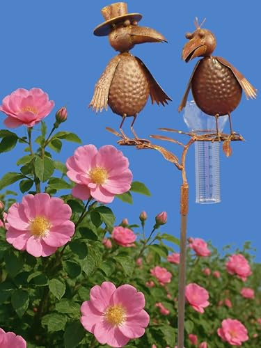 Pommerntraum ®| Regenmesser Raben Gartendeko Meisenknödelhalter Rostoptik | Niederschlagsmesser Pluviometer Ombrometer Wetterstation Vogel Vögel Gartenaccessoires Geschenkidee (RABE + GATTIN ROSTOPTIK)