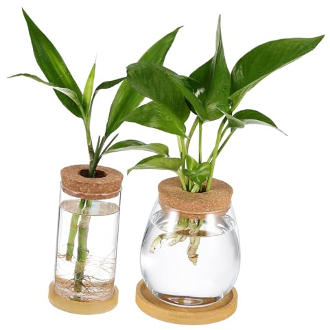 NOLITOY 2 pièces Lot de Vases Hydroponiques Verre Borosilicate avec Couvercle Liège Perforé et Plateau Pots à Plantes Dintérieur pour Bouturage et Propagation sans Terreau