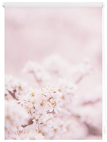 Lichtblick Klemmfix Verdunklungs-Rollo mit Motiv, ohne Bohren, Blickdicht, Seitenzugrollo, Made in Germany, Kirschblüten - Rosa Weiß 45 x 150 cm