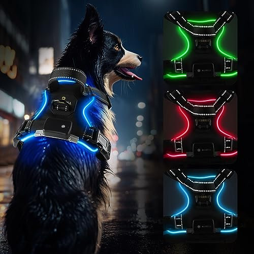 MASBRILL Light Up Dog Harness, LED Dog Vest Harness Rechargeable, Adjustable & Reflective, Soft Padded Harness for Medium Dogs (Blue)