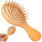 Mini spazzola in bambù per la crescita dei capelli, spazzola massaggiante in legno naturale con manico e perni rotondi in legno antistatico per cuoio capelluto e capelli districanti