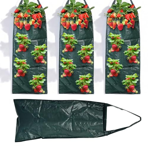 Bqkroa Erdbeer Pflanzsack: 4 Stück 25×60cm Pflanzsack Hängend mit Griffe, Pflanztaschen für Draußen mit 10 Löchern, Pflanztaschen Hängend Draußen für Erdbeer Tomaten Kräuter Gemüse Pflanzen