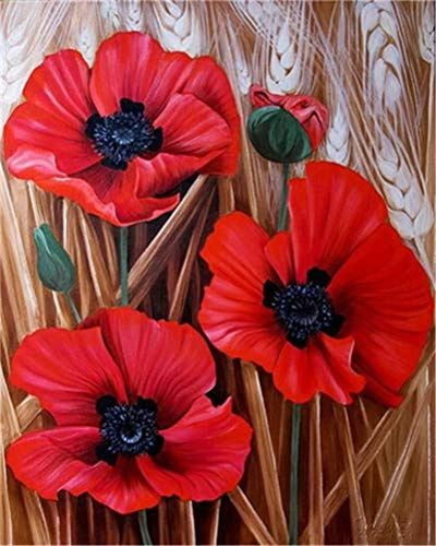 CaptainCrafts Gör-det-själv måla efter siffror för vuxna nybörjare oljemålning efter siffror kit linne kanvas hem konst vägg hus dekoration 40 x 50 cm (färska röda vallmo blommor, ramlös)