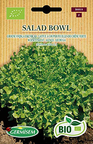 Germisem Orgánica Salad Bowl Semillas de Lechuga 1 g (ECBIO6018)
