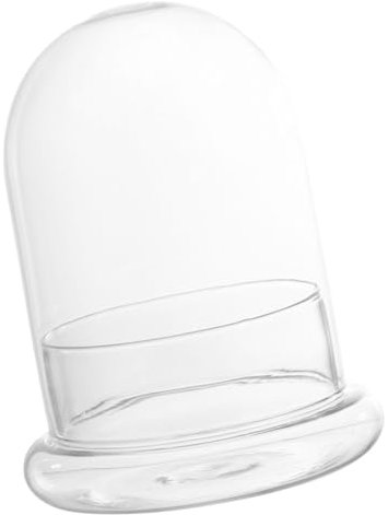 BESPORTBLE Terrarium Écologique en Verre Transparent Grosse Cloche D'exposition avec Petit Trou pour Micro-Paysage DIY Bureau Salon Décoration Végétale Naturelle