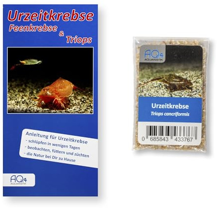 Triops cancriformis Zuchtansatz ca. 100 Urzeitkrebs-Eier in Sand | Triopszucht mit Anleitung, Europäischer Sommerschildkrebs; Ideal für Urzeitkrebs-Zuchtprojekte Einsteigerart