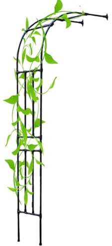 Rosenbogen für Balkon Hinterhof Gartenbogen Pergola Halbbogen aus Stahl Rankbogen für Jubiläen,Geburtstagsfeiern,Gartendeko(60x240cm)