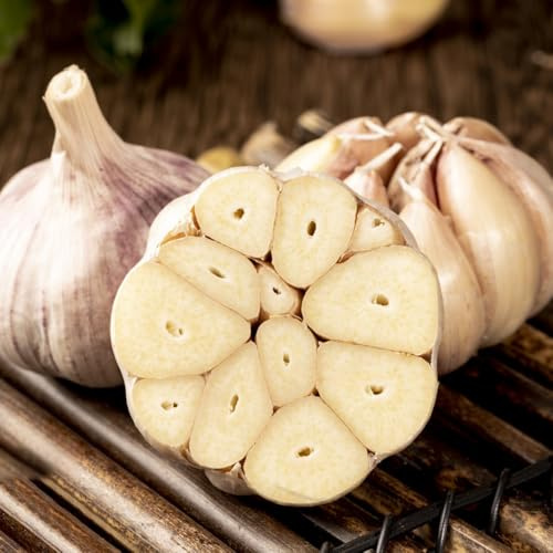 pflanzknoblauch winterhart bio - exotische balkon seltene 2zwiebeln