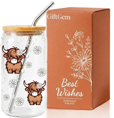 GiftGem Highland Cows Gifts for Women - Funny Cow Gift for Cow Lovers, Birthday Gifts for Women, Cute Coke Coffee Cups Glass Cups with Straw and Lid, Thanks Gift for Womens, Sister, Bestie, Friend