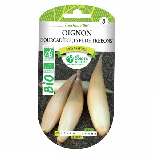 Les doigts verts Graines Oignon Hourcadère Type de Trébons Bio