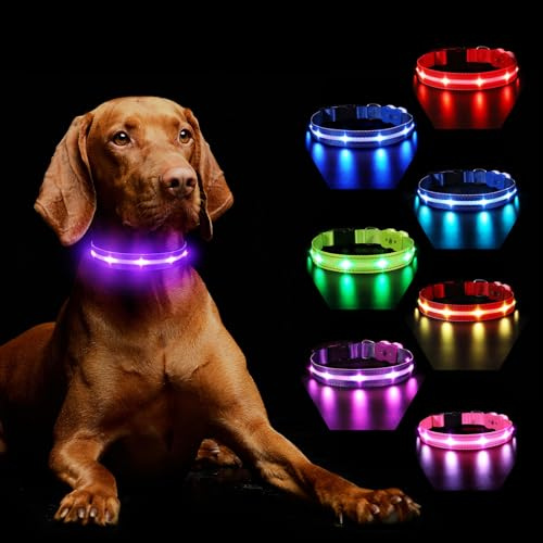 Hundehalsband Leuchtend Aufladbar, Leuchthalsband Hund 7 RGB Farbwechsel mit 8 Leuchtmodi, Verstellbare LED HundeHalsband Wasserdicht für Kleine Mittlere Große Hunde Leuchtendes Halsband, Lila L