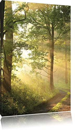 Pixxprint Waldweg im Winter, Größe: 60x40cm, Leinwandbild, fertig gespannt, Wandbild, Dekoration, Kunstdruck, kein Poster