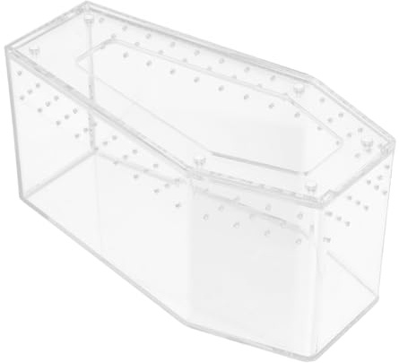 TOGEVAL Acrylboxen Transparent Reptilienbox Für Eidechsen Spinnenterrarium Für Insekten Terrarien-zuchtbox Mit Deckel Kleiner Futterbehälter Für Schlangen Und Schildkröten