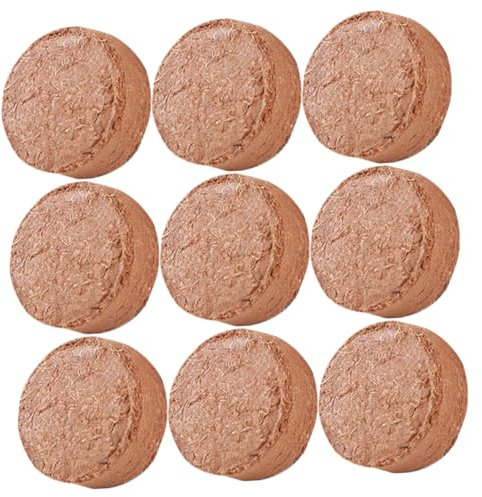 Levemolo 60pezzi Per Piantagione Cocco Per e Ortaggi Assorbente Per Giardinaggio Per e Idroponiche Media