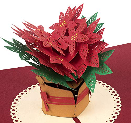 papercrush® Biglietto auguri natale pop up Poinsettia – Carta regalo natalizia 3D per donna (mamma, fidanzata, nonna), cartolina portasoldi per auguri natale, carta fatta a mano per dono di denaro