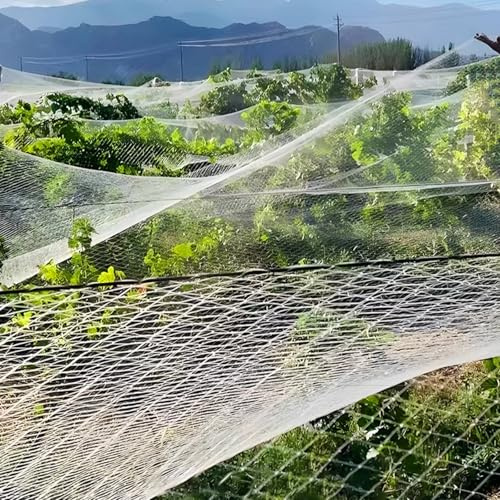 Malla Protectora para jardín: Pantalla antigranizo Resistente contra pájaros para hortalizas, Frutas, Flores y Cultivos en bancales elevados.