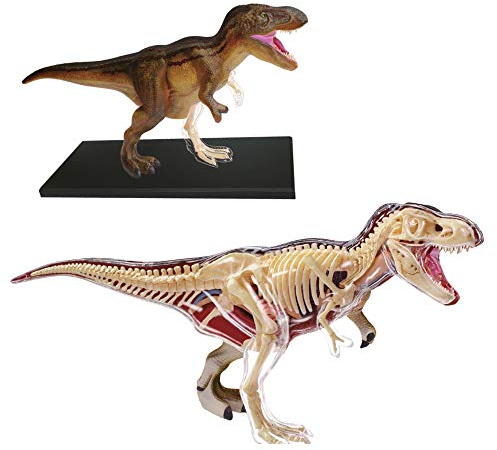 EXPLORA - T-Rex - Paläontologie - 546092 - Realistisches Modell mit 36 Teilen - Montageanleitung und Bildungsquiz - Dinosaurier - Entdeckungsset - Kinderspiel - Wissenschaftlich - Ab 8 Jahren