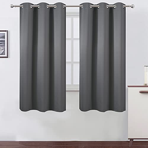 LEMOMO Cortina de oscurecimiento de Color Gris, 100 x 100 cm, 2 Paneles de cortinilla térmica, oscurecedora para la habitación
