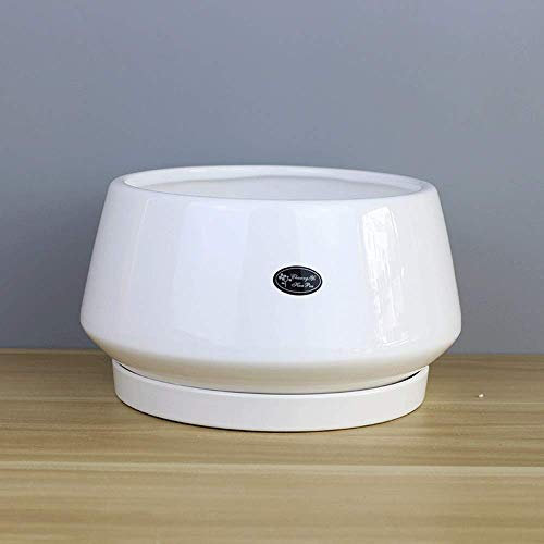 Farben Großer Keramik Blumentopf Kreatives Aussehen Blumentopf Fensterbank und Bürotisch Dekoration Pflanzer Hof Utensilien Kaktus Grün Blumentöpfe (Color : White)