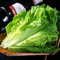 Haloppe 1000 Unids Semillas de Verduras de Lechuga para la Plantación de Huertos Caseros, Semillas de Verduras Semillas de Verduras de Lechuga Romana de Jardín Saludable Semillas de lechuga