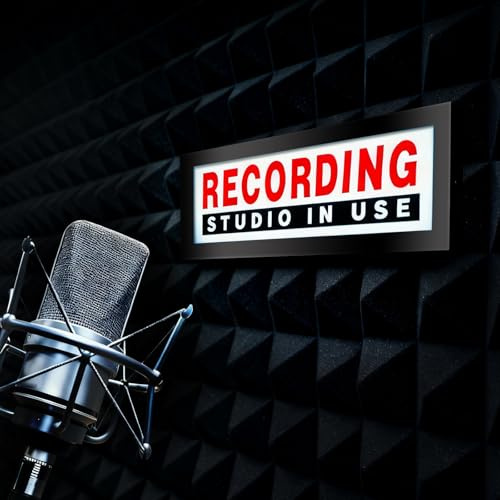 Estudio de grabación en caja de luz de uso para grabación, luces LED rojas, luces de neón regulables, para Twitch Tiktok, YouTube, Streamers, estación de radio, bar, decoración del club