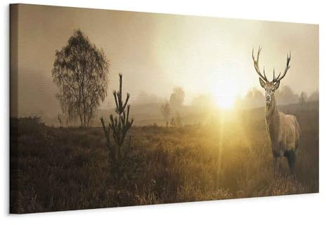 murando HandArt Bilder auf Leinwand Hirsch 1 tlg Leinwandbild Wandbilder Wohnzimmer Wanddekoration Moderne Kunst - Natur Landschaft Tier g-B-0050-b-b