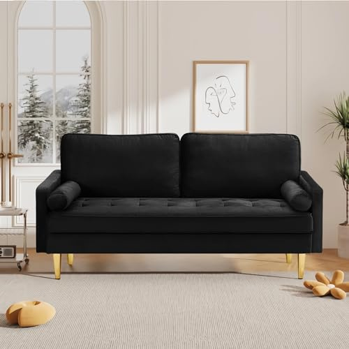 Hdxdkog Velvet Loveseat Sofa,Mid Century Modern Small Love Seats Furniture Comfy Couch for Living Room, Upholstered 2 Seater Sofa for Small Apartment (Black, 66.9 Inch)