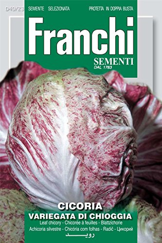 Franchi Seeds of Italy - Chicory - Variegata Di Chioggia - Seeds